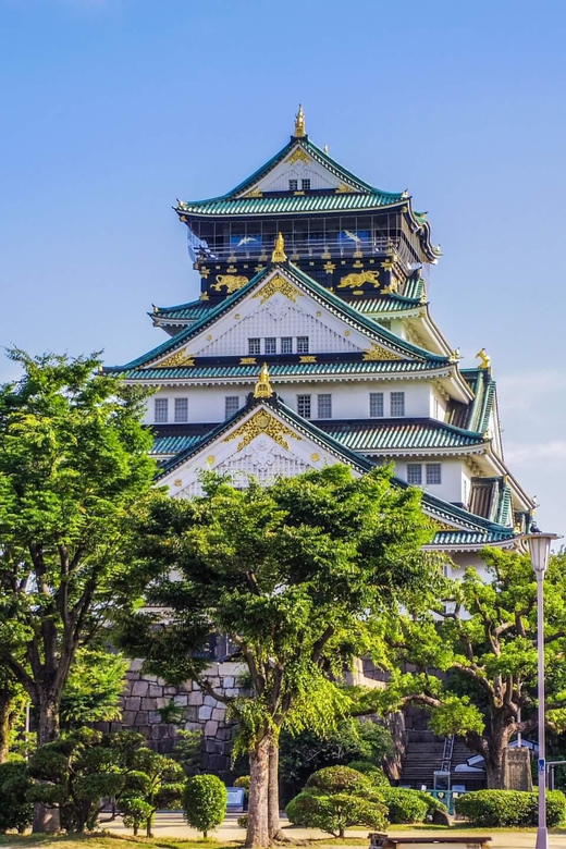1-Day walking tour in Osaka:Castle, temples and Ukiyoe - Kuromon Ichiba Market: lunch time that turns into a strategy lesson