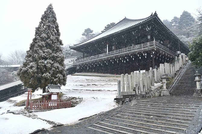 3 Days Private Osaka Kyoto and Nara Tour with English Driver - Price and what you actually get for up to 6 people