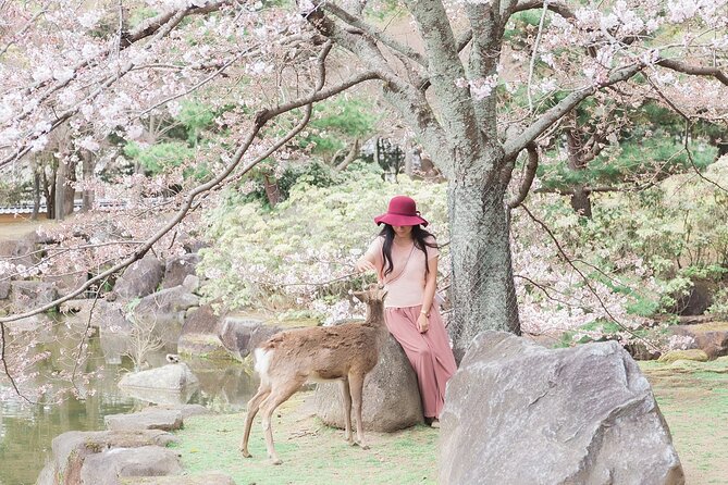 3 Days Private Osaka Kyoto and Nara Tour With English Driver - Osaka Day: Osaka Castle, onsen time, and Instant Ramen history