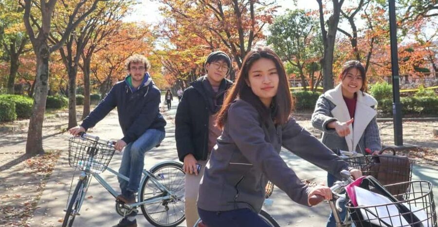5-Hour Osaka Highlights Bike Tour with Lunch - Cycling through local streets: the “why” behind the breeze