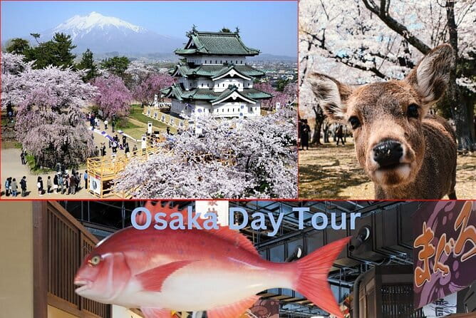 Amanohashidate & Ine Boathouse Full-Day Tour from Kyoto or Osaka - What’s included vs what you’ll pay for: a simple budget