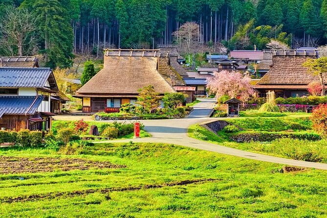 Amanohashidate & Ine Funaya Kyoto coast day trip from Osaka/Kyoto - Chionji Temple at Hyakumanben: A Short Stop That Feels Purposeful