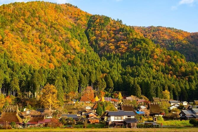 Amanohashidate Ine Funaya Miyama Village No Sato Tour from Osaka - Pace, Timing, and the Lunch Break You’ll Want to Plan For