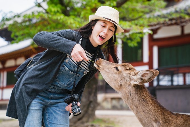 Ancient Capital Tour: Kyoto and Nara Highlights from Kyoto/Osaka - Key things to know before you go