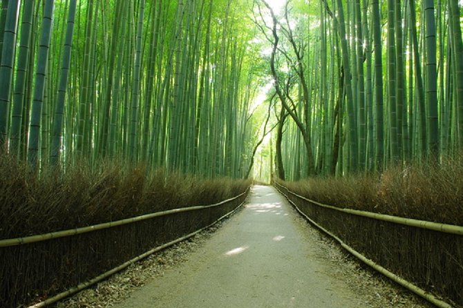 Ancient Capital Tour: Kyoto and Nara Highlights from Kyoto/Osaka - Lunch Options: Should You Add the Set Meal or Eat on Your Own?