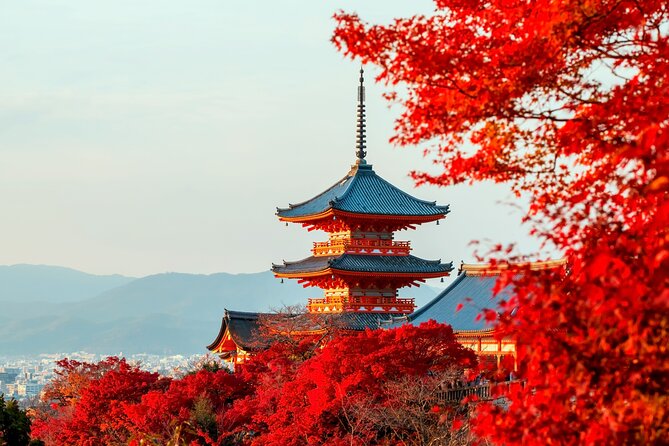 Best of Kyoto and Nara Highlights Day Tour from Osaka (7~9 spots) - Todai-ji and a quick panoramic view back behind Nara Park