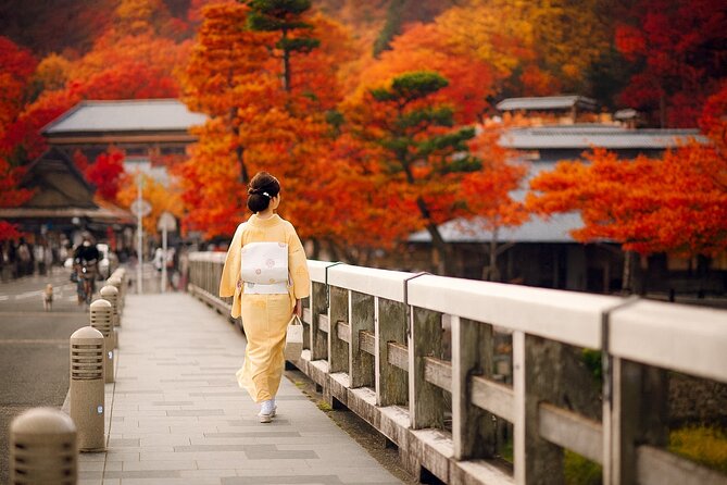 Best of Kyoto and Nara Highlights Day Tour from Osaka (7~9 spots) - Route B (Tue/Thu/Sat): Arashiyama bamboo, Nonomiya Shrine, and Togetsukyo