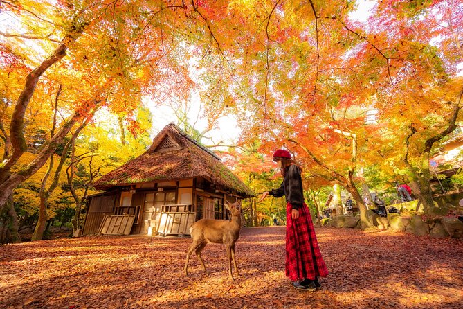 Best of Kyoto and Nara Highlights Day Tour from Osaka (7~9 spots) - Nara’s first wave: Kasuga Grand Shrine and Nara Park deer time