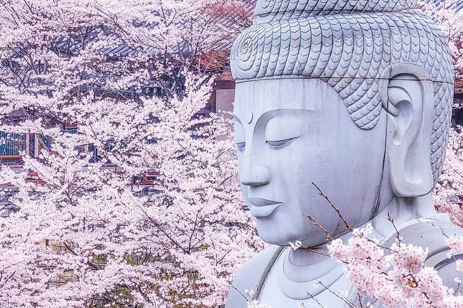 Cherry Blossom Buddha and Mt.Yoshino with Strawberry Picking Tour - Key highlights worth planning for