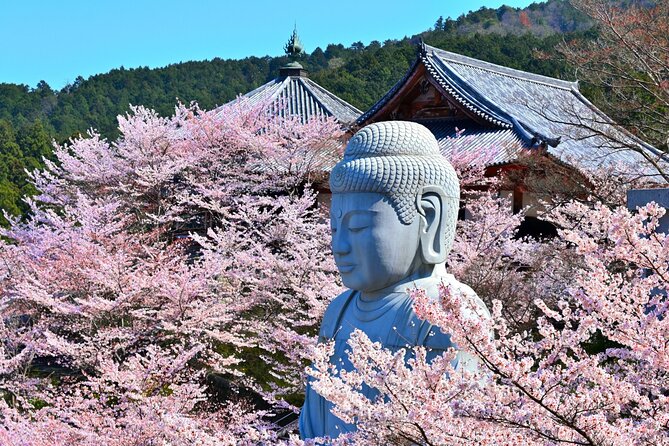 Cherry Blossom Buddha and Mt.Yoshino with Strawberry Picking Tour - Asuka-mura Strawberry Picking: A Sweet Start Before the Temples