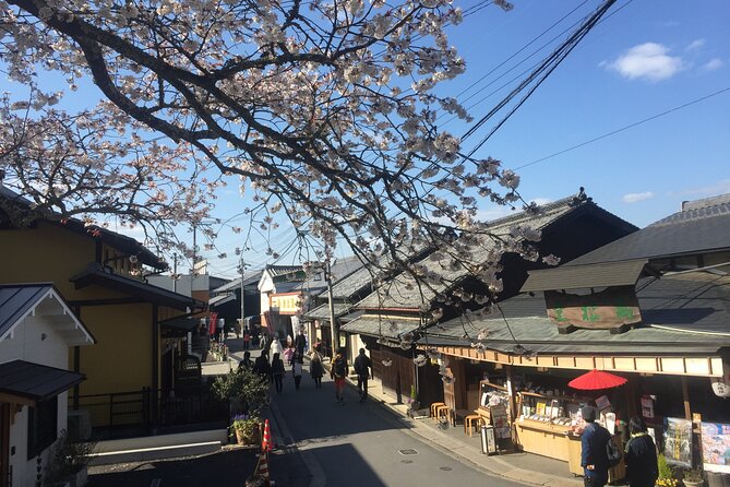 Cherry Blossom Buddha and Mt.Yoshino with Strawberry Picking Tour - Mount Yoshino: Senbonzakura Views and Real-World Blossom Uncertainty