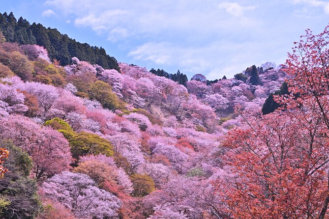 Cherry Blossom Buddha and Mt.Yoshino with Strawberry Picking Tour - Roadside Station Katsuragi: Quick Local Shopping and Sweets