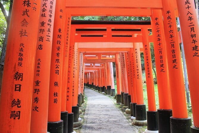 Discover Himeji, Kobe and Nara from Osaka - Practical tips so your day doesn’t feel like speed-walking