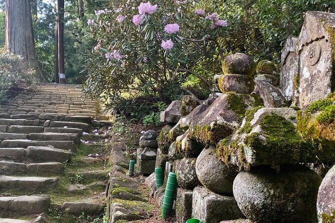 Exclusive Luxury Day Tours Serene Nara - Nara Park: Quick Deer Magic and Temple Atmosphere
