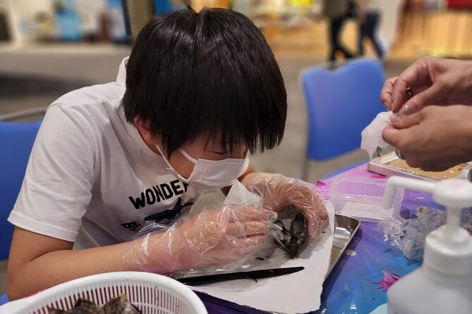Experience Extracting Pearls From Akoya Oysters　osaka - Choosing your Akoya oyster at Angel Destiny: you get the first say