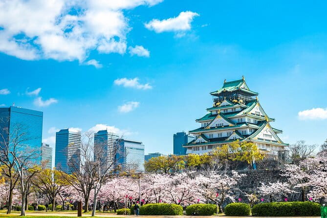 Explore Osaka | Private Tour - Local English Driver(guide option) - Key highlights to know before you go