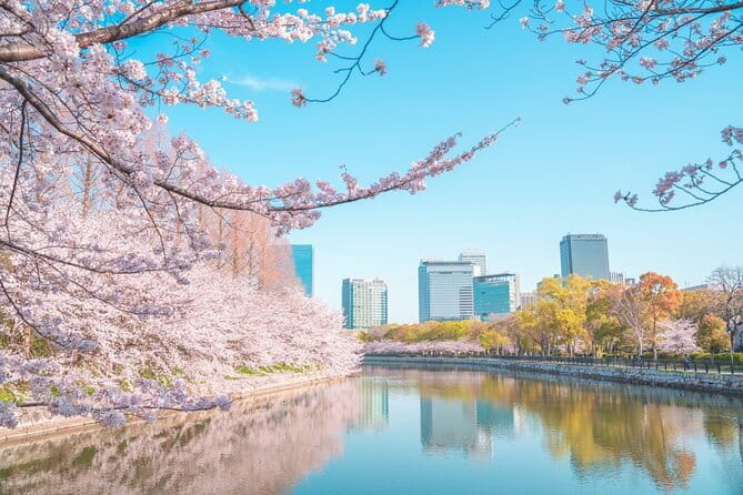 Explore Osaka | Private Tour - Local English Driver(guide option) - The real value: a private schedule that doesn’t feel rushed