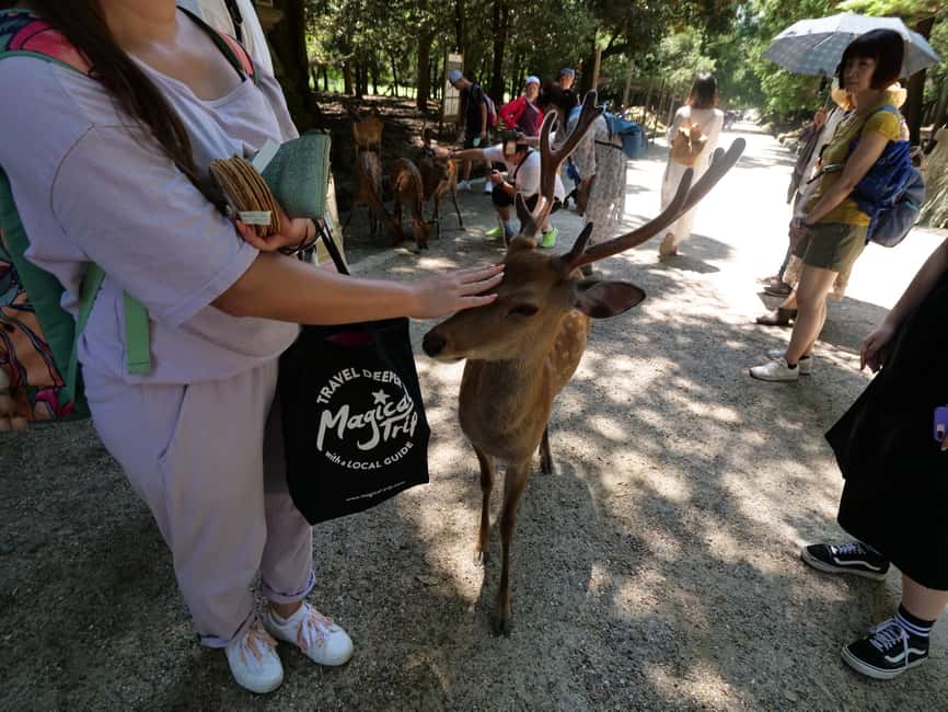 From Kyoto or Osaka: Kyoto Highlights & Nara Park Day Trip - Kinkakuji: The Zen Temple Pause in a Full Day