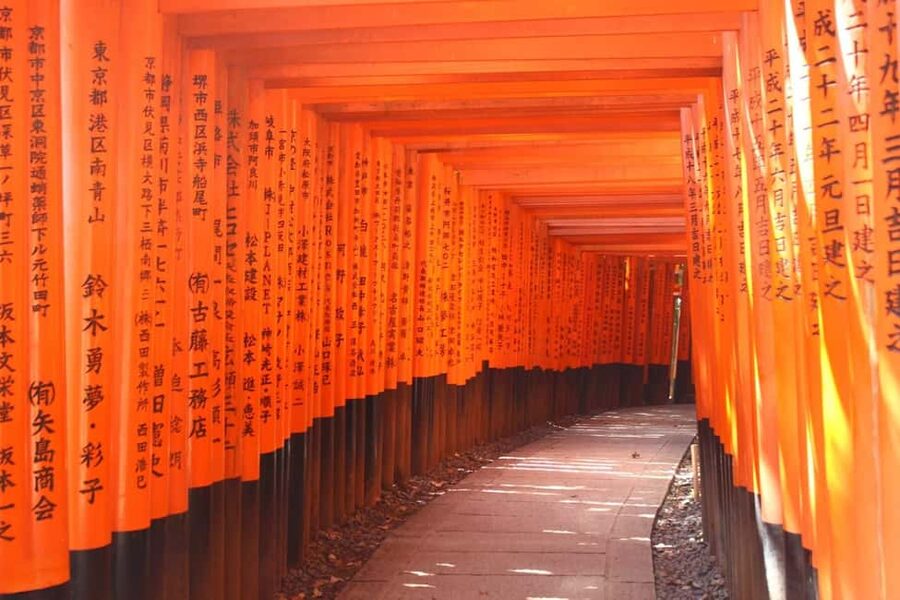 From Kyoto or Osaka: Kyoto Highlights & Nara Park Day Trip - Lunch in Kyoto: Plan for Food and Keep It Simple