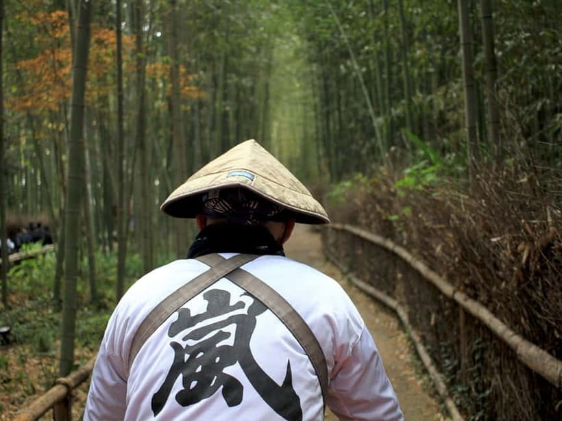 From Kyoto/Osaka: Kyoto Top Highlights 1-Day Guided Bus Tour - Fushimi Inari Taisha: torii gates as a walking experience