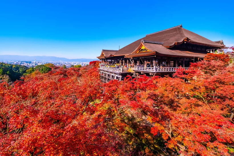 From Kyoto/Osaka: Kyoto Top Highlights 1-Day Guided Bus Tour - Arashiyama and Sagano Bamboo Forest: when the bus stops, the air changes