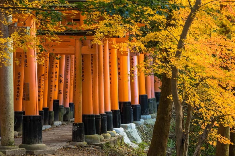 From Kyoto/Osaka: Kyoto Top Highlights 1-Day Guided Bus Tour - Lunch options: what you should (and shouldn’t) count on