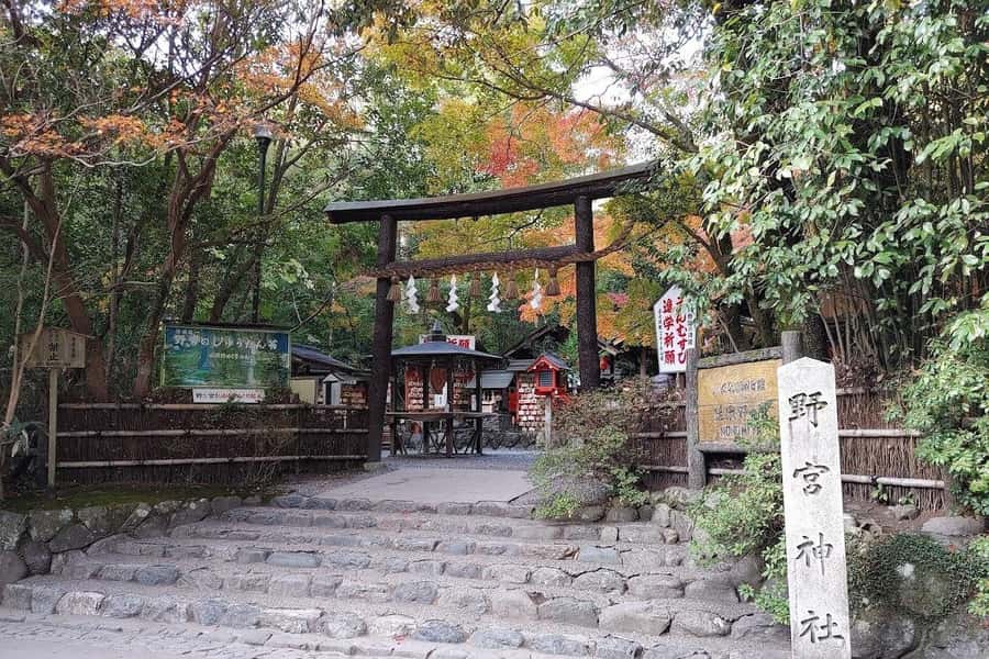 From Kyoto/Osaka/Nara: Private Osaka Luxury Car Tour - Shitennoji Temple: a calm reset with a local guide