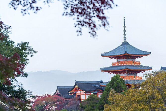 From Osaka: 10-hour Private Customizable Tour to Kyoto - Pace, comfort, and who this tour suits best