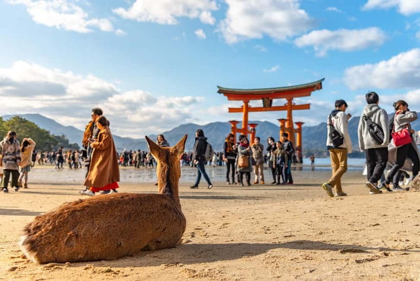 From Osaka: Hiroshima and Miyajima Day Trip by Bullet Train - How the Day Flows: Miyajima First, Then Hiroshima Peace Sites