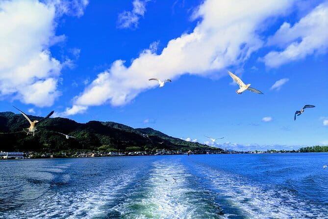 From Osaka/Kyoto: Amanohashidate & Miyama 1-Day Bus Tour w/ Meal - A One-Day Escape Built Around Amanohashidate’s Best Angles
