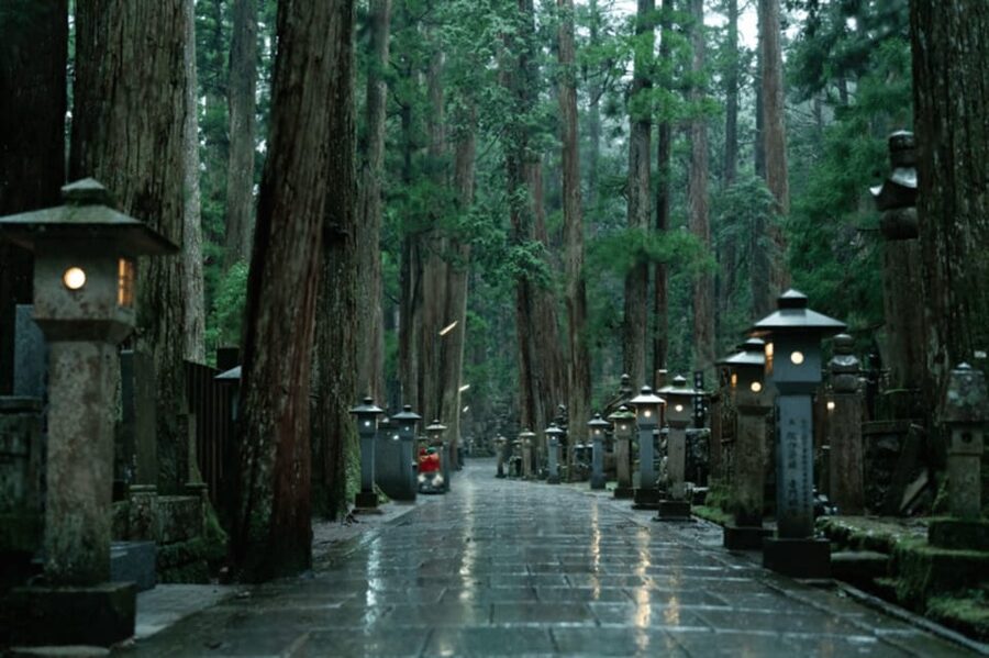 From Osaka/Kyoto:Mount Koya, Wakayama & Nachi Waterfall Trip - Key Points You’ll Care About Before You Go