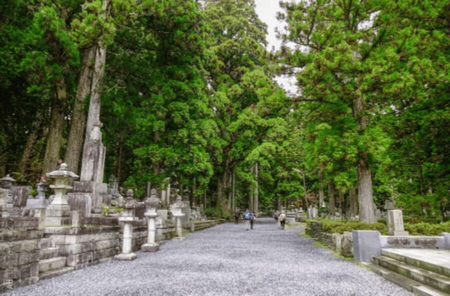 From Osaka/Kyoto:Mount Koya, Wakayama & Nachi Waterfall Trip - Two Ways to Shape Your Day: Wakayama Castle + Koyasan Temples, or Add Nachi Waterfall