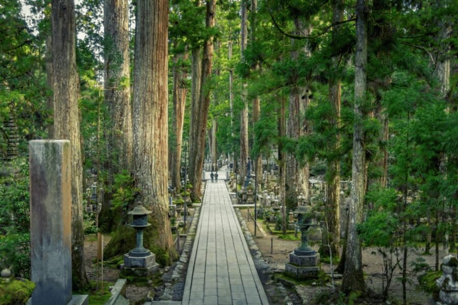 From Osaka/Kyoto:Mount Koya, Wakayama & Nachi Waterfall Trip - Mount Koya Museum: Sacred Art and Shingon History You Can Actually Use