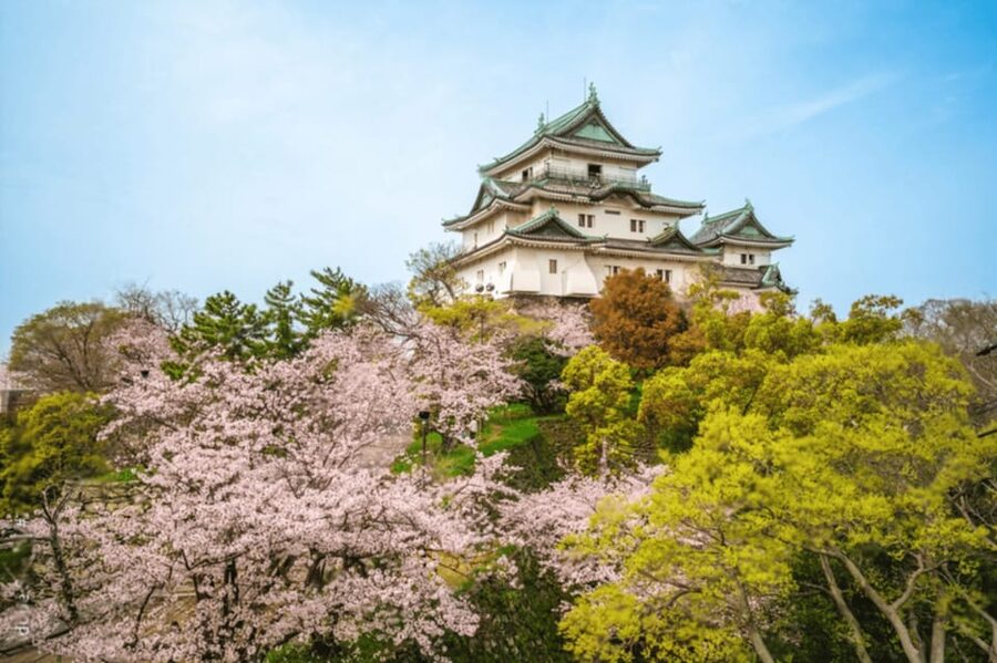 From Osaka/Kyoto:Mount Koya, Wakayama & Nachi Waterfall Trip - Okunoin Cemetery at Lantern-Lit Pathways: The Big Walk That Changes Your Pace