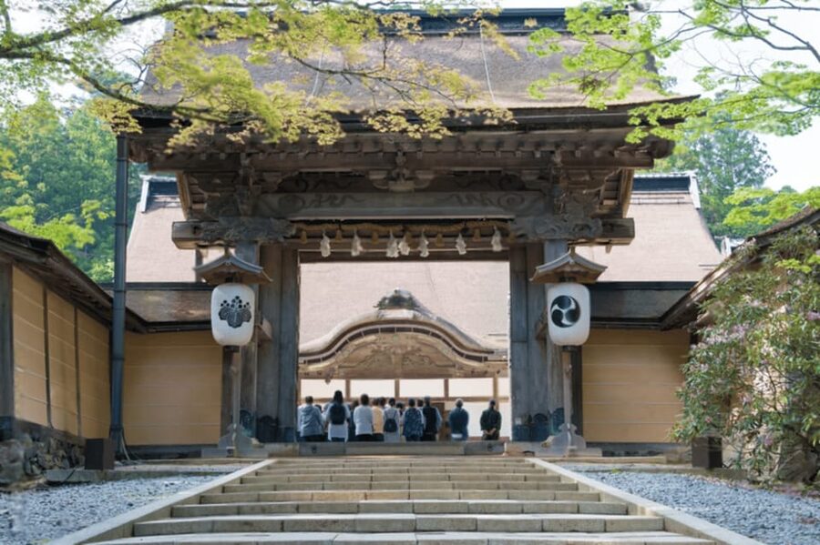 From Osaka/Kyoto:Mount Koya, Wakayama & Nachi Waterfall Trip - Lunch, Photo Rules, and What to Pack for a Day of Real Steps