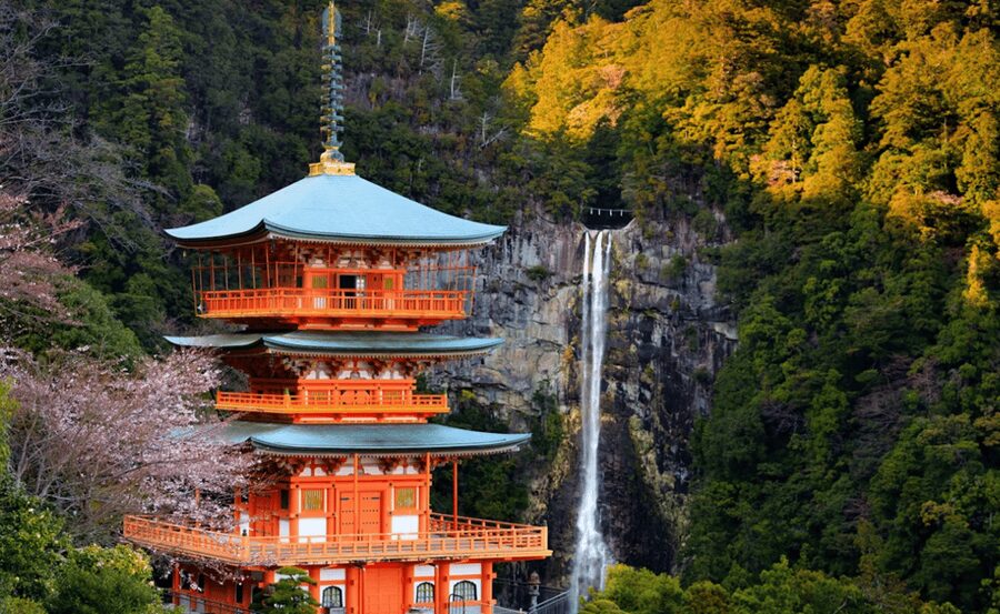 From Osaka/Kyoto: Mount Koya & Wakayama Private Day Trip . - Key Things I’d Focus On Before You Go