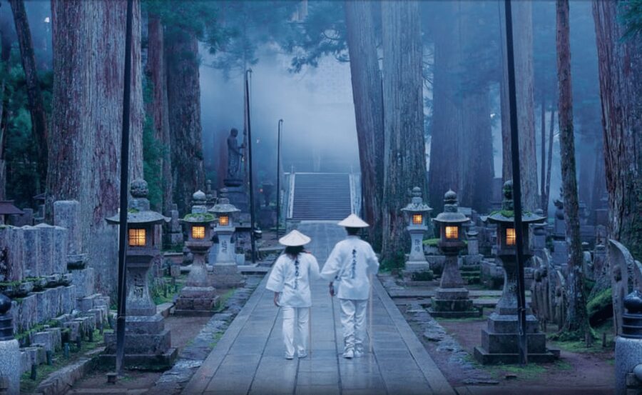 From Osaka/Kyoto: Mount Koya & Wakayama Private Day Trip . - Price and Logistics: Is $660 Worth a Private Day?