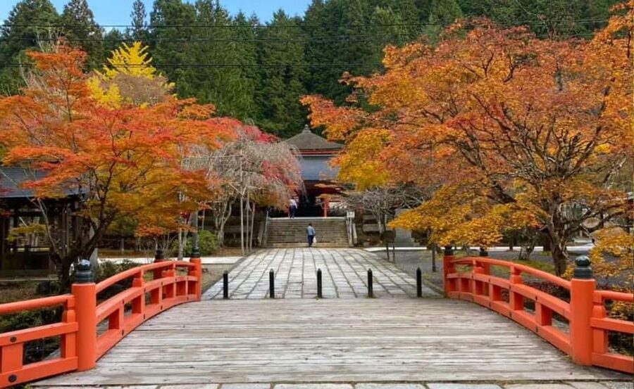 From Osaka/Kyoto: Mount Koya & Wakayama Private Day Trip . - Shōjin Ryōri Lunch: Vegetarian Buddhist Food (Clarify What’s Included)