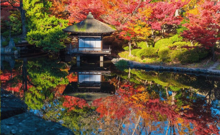 From Osaka/Kyoto: Mount Koya & Wakayama Private Day Trip . - Wakayama Coast Stops: Kuroshio Market, Shirahama, and Sandanbeki