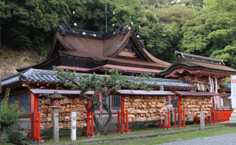 From Osaka/Kyoto: Mount Koya & Wakayama Private Day Trip . - The Guide vs Driver Issue: Confirm What You’re Paying For