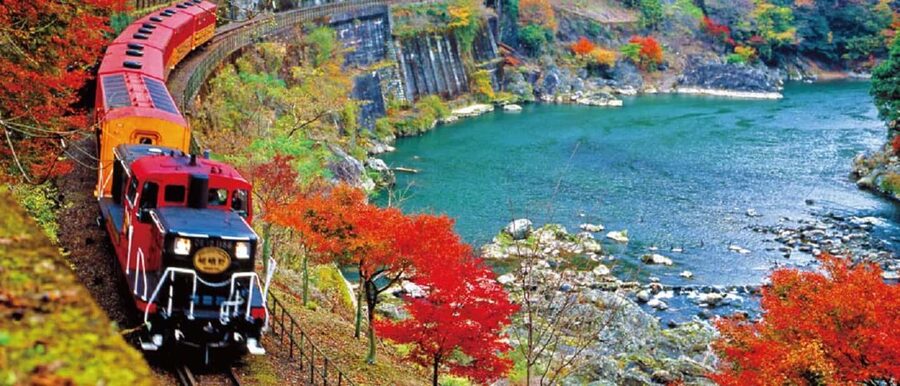 From Osaka: Kyoto, Nara, Fushimi Inari & Arashiyama Day Tour - Who This Tour Suits Best (And Who Should Skip)