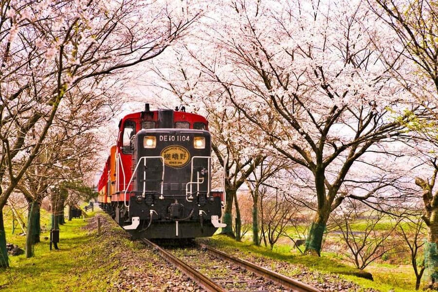 From Osaka: Kyoto, Nara, Fushimi Inari & Arashiyama Day Tour - Fushimi Inari Taisha: The Thousand Torii Gates Rush