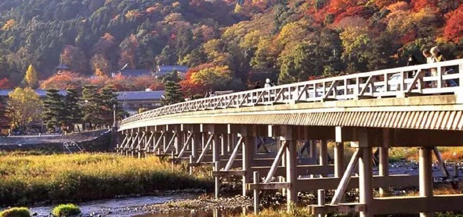 From Osaka: Kyoto, Nara, Fushimi Inari & Arashiyama Day Tour - Arashiyama: Temples, Trails, and a Bamboo Forest Moment