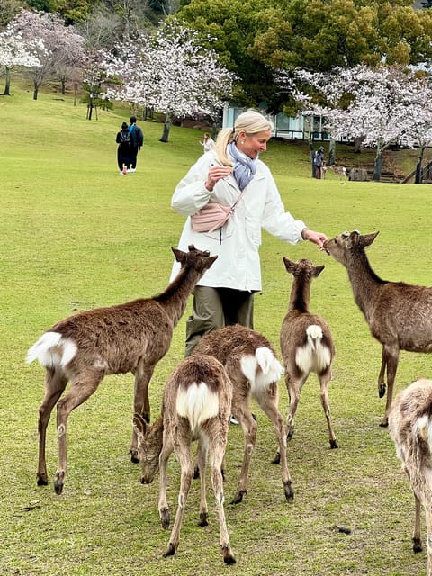 From Osaka/Kyoto:Private Kyoto-Nara Day Tour - Key things that make this Kyoto-Nara tour tick