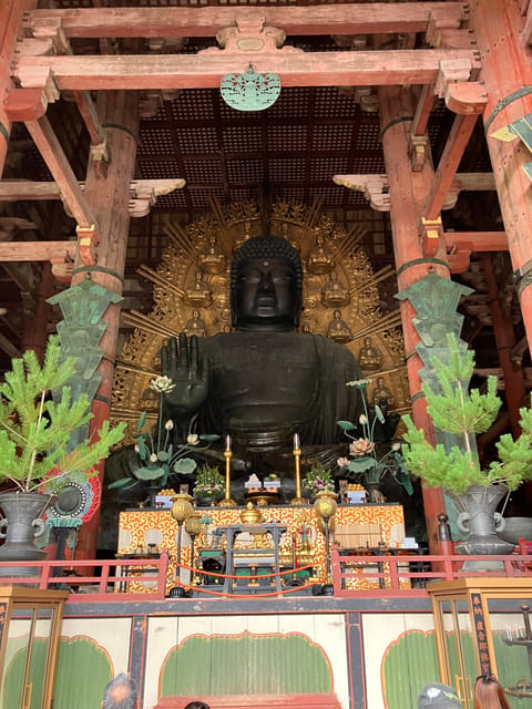 From Osaka: Nara Private Tour with Meet-Up at Your Hotel - Key highlights worth your time
