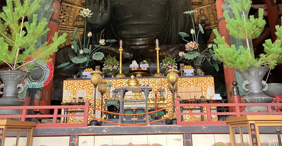 From Osaka: Nara Private Tour with Meet-Up at Your Hotel - Kōfuku-ji Temple: pagoda views and UNESCO-scale architecture