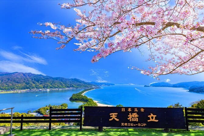 From Osaka or Kyoto: Full Day Sightseeing Tour of Kyoto - Arashiyama in multiple layers: bamboo, bridges, shrines, and the Kimono Forest