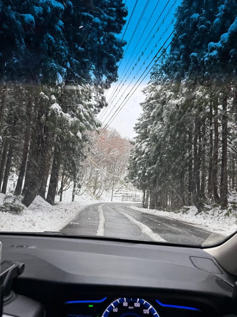 From Osaka or Kyoto: Private Shirakawa-go and Takayama Trip - Key points worth caring about