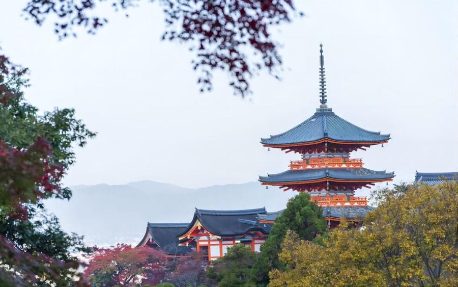 From Osaka: Private Customizable Day Tour to Kyoto - Price and logistics: is $278 per person fair?