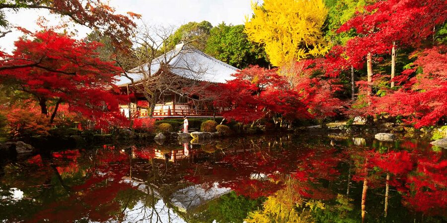 From Osaka: Private Customized Day Tour to Kyoto - Key takeaways before you go